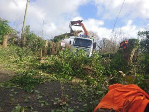 Green Waste Removal Site Clearance Meath and Dublin