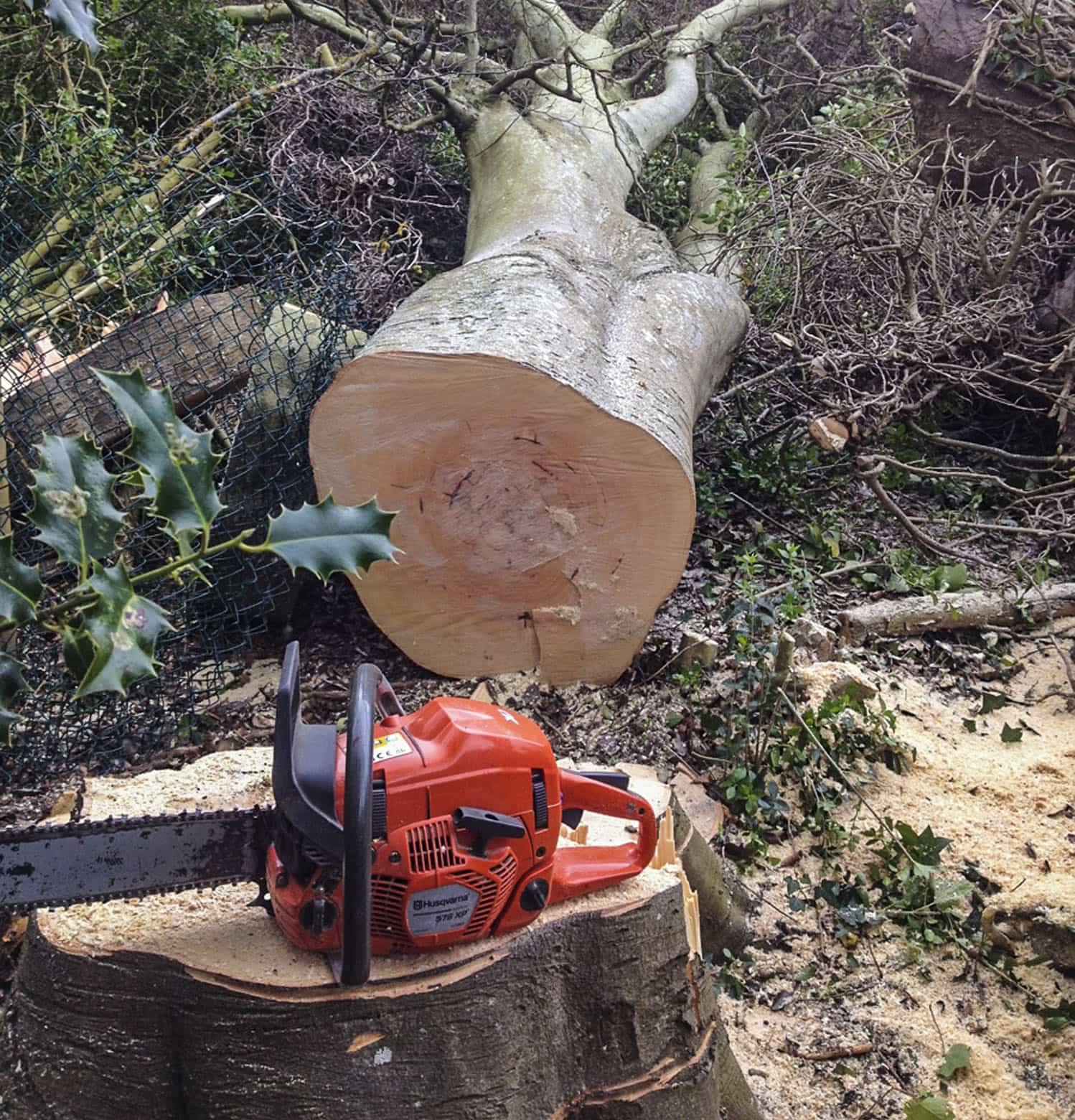 Stump Grinding in Meath and Dublin