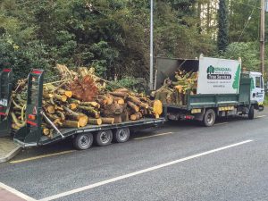 Firewood for Sale in Meath and Dublin
